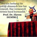 Prof. Dr. Ekrem DEMİRLİ - 41