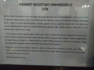Mehmet Necati Memişoğlu - 1